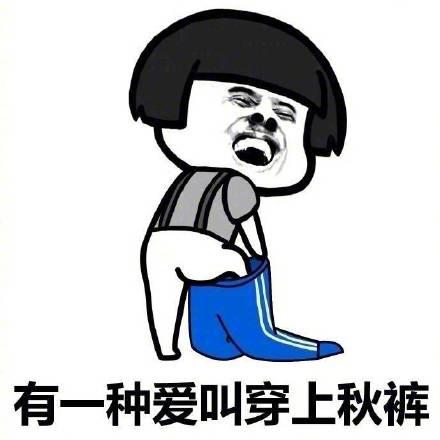 魔力宝贝私服宠物养成计划：打造最强伙伴